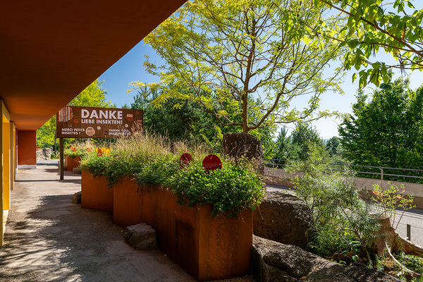 Bild zum Event: Erlebnisführung für grosse und kleine Naturentdecker:innen