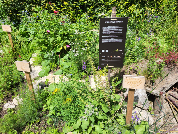 Bild zum Event: Abendführung im Bioterra Lerngarten Kluspark