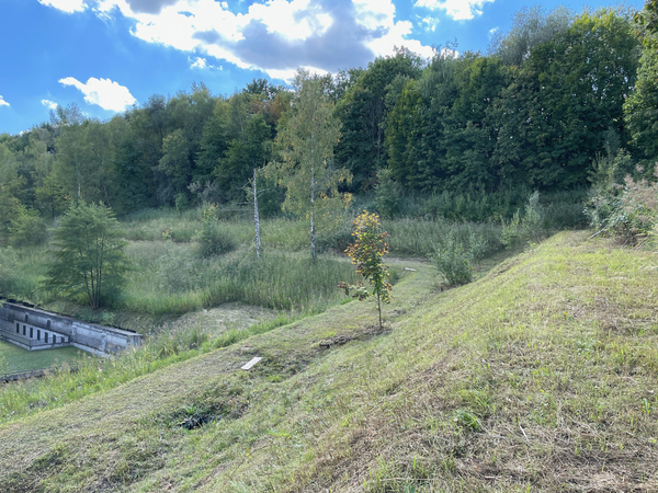 Bild zum Event: Abendspaziergang durch die Binz