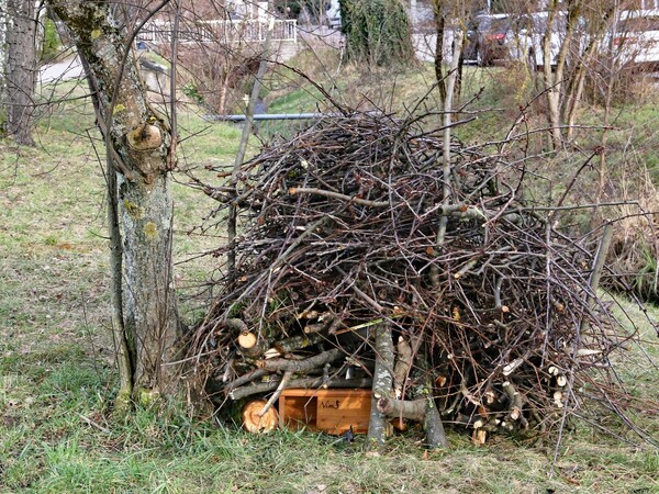 Bild zum Event: Vielfältige Vernetzungsstrukturen für Igel & Co.